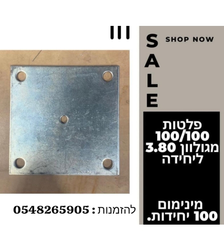 פלטות 100/100