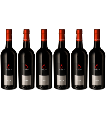 מארז 6 בקבוקי יין בסגנון פורט גליל | RIMON WINERY