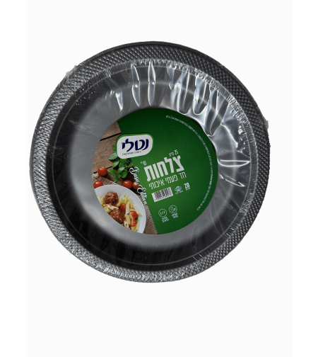 צלחת 10