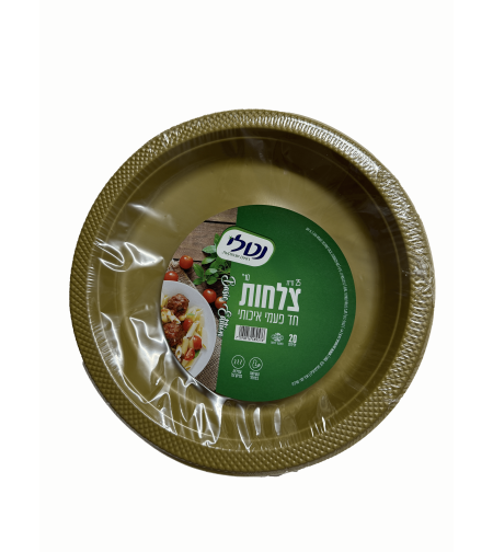 צלחת 10