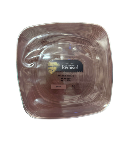 צלחות 9 מרובעות שוהם רוז כסף – 10 יחידות