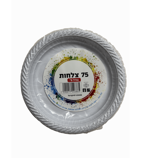צלחת 9