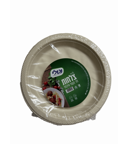 צלחת 10