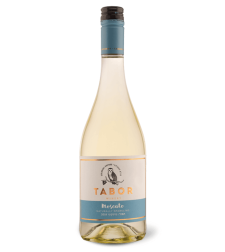 תבור מוסקטו 2022