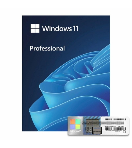 Windows 11 Pro Oem