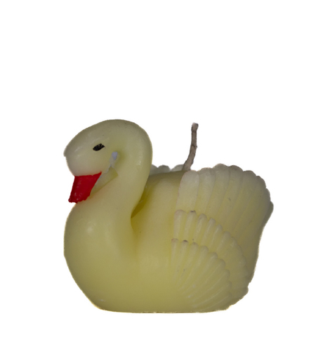 נר ברבור לבן