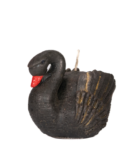 נר ברבור חום