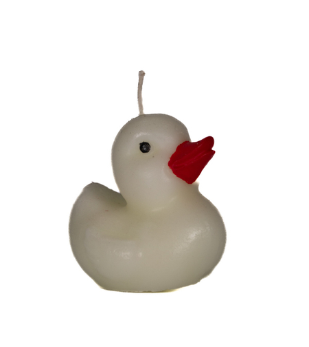 נר ברווז לבן