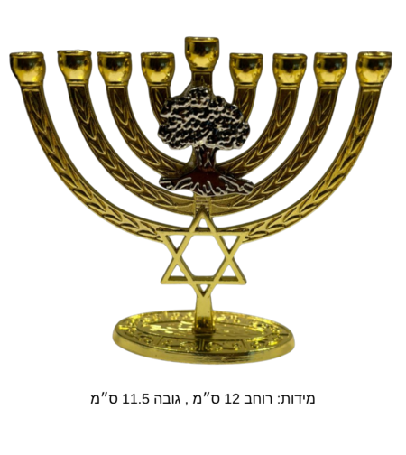 חנוכיה עם עץ גולני