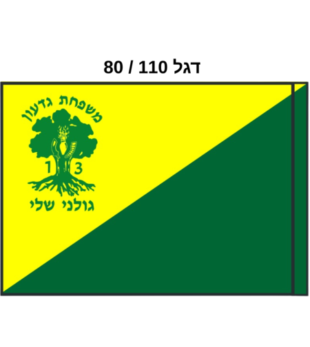 דגל - גדוד 13