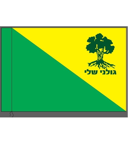 דגל - גולני שלי