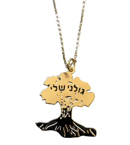 שרשרת - גולני שלי