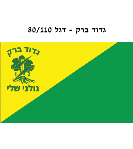 דגל - גדוד 12