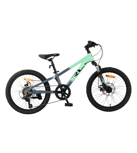 אופני הרים RL CATTIVIO 20