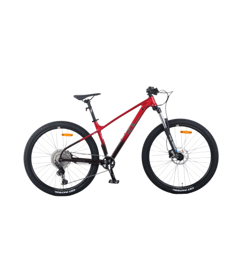 אופני הרים RL XR11