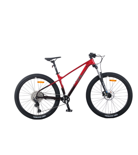 אופני הרים RL XR11