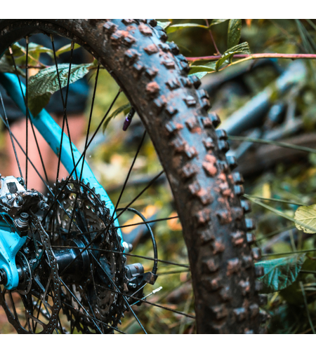 צמיגים ופנימיות