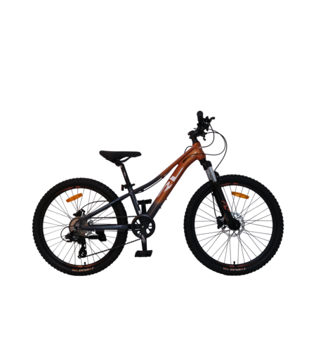 אופני הרים RL CAPPI PRO 24