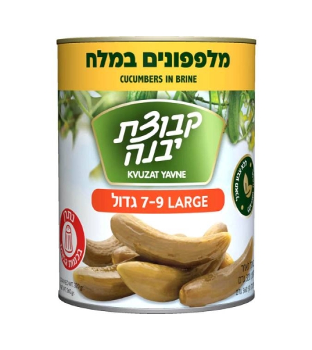 מלפפונים במלח גדולים 7-9- קבוצת יבנה