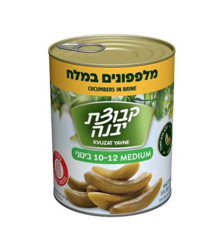 מלפפונים במלח בינוניים 10-12 - קבוצת יבנה