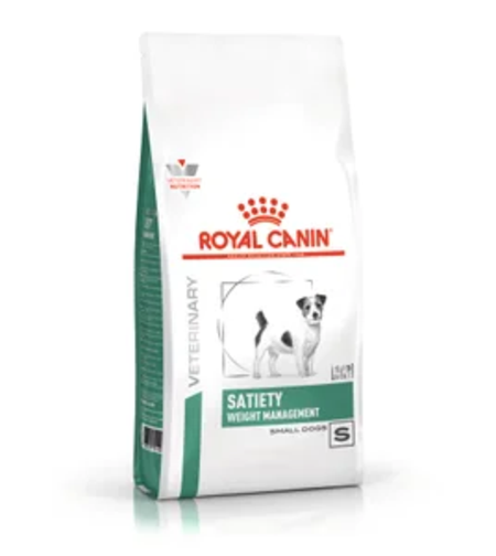 סטיאטי כלב גזע קטן 3 ק