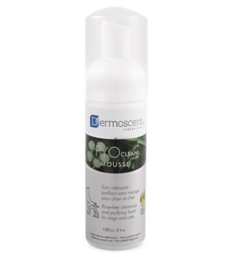 דרמוסנט PYOclean מוס קצף לניקוי ללא שטיפה בכלבים וחתולים