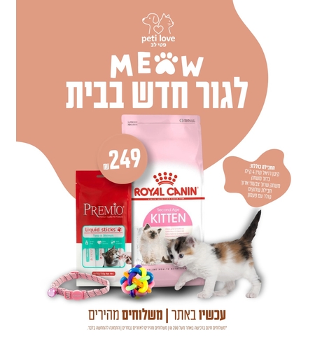 חבילה לגור חתולים (עד גיל שנה)