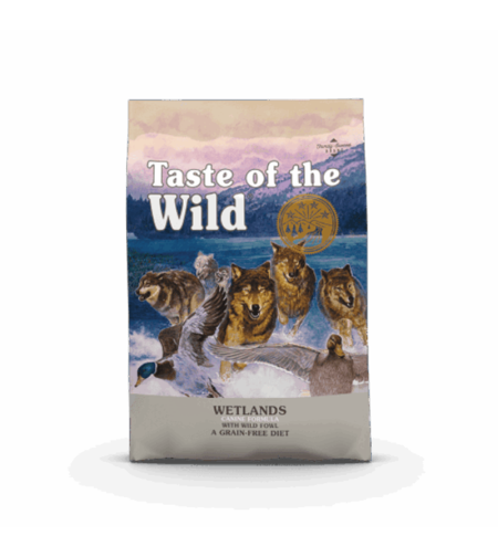 טייסט אוף דה ווילד ברווז 12.2 ק