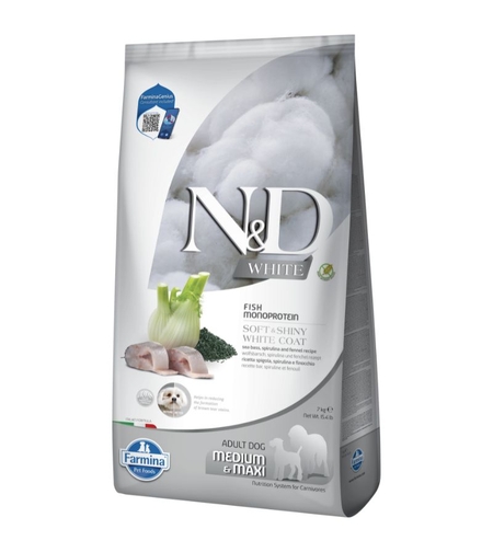 ND כלב לבן מדיום 7 ק