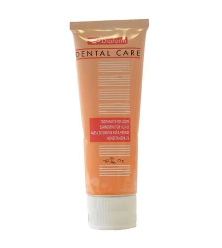 DENTAL CARE משחת שיניים אנזימתית