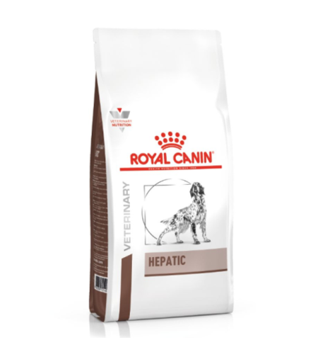 הפאטיק כלב 12 ק