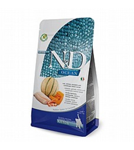 ND אושן קוד דלעת מלון חתלתולים 1.5 ק