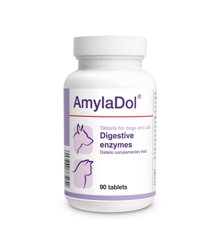 אנזימי לבלב 90 טבליות AmylaDol - אמיילדול