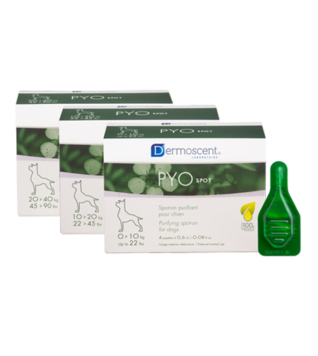 דרמוסנט ®PYOspot טיפות לכלב 0-10 ק