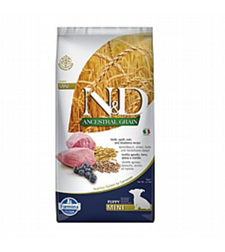 ND אן די אנסס 7 ק