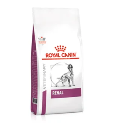 רינאל כלב 14 ק