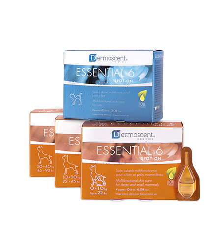 טיפות Essential6® spot-on לחתולים