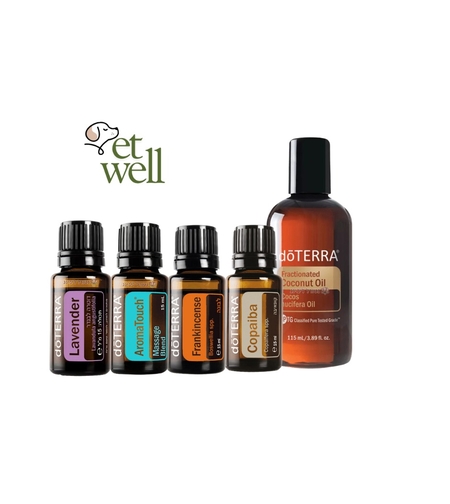 חבילת עזרה ראשונה של דוטרה