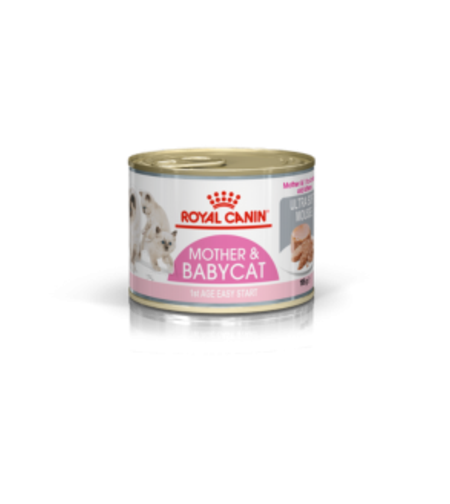 רויאל קנין 195 גרם מזון רטוב (שימורים) לחתולים גורים ולחתולות מניקות