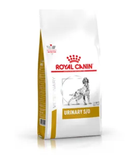 יורינרי S/O כלב 13 ק