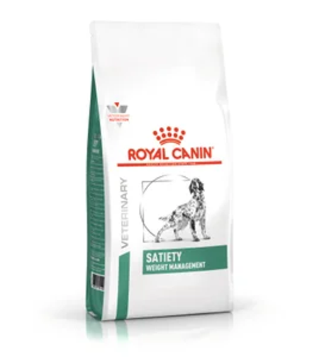 סטיאטי כלב 12 ק