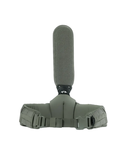 חגורת אגן – מרעום דולפין –