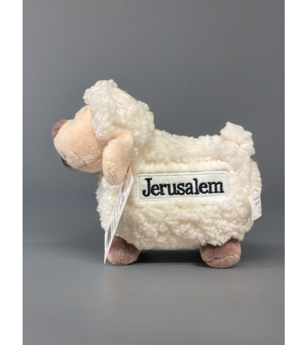 כבש קטן ירושלים