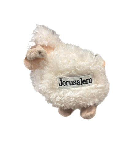 כבש גדול ירושלים