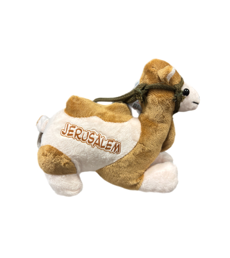 גמל קטן ירושלים