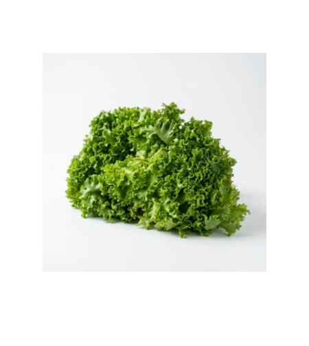 חסה לאליק | ארוז