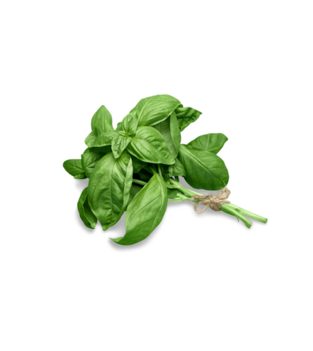 בזיליקום טרי | באריזה