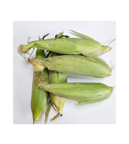 תירס לבן | לפי 1 קילו