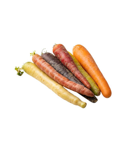 גזר צבעוני | אריזה