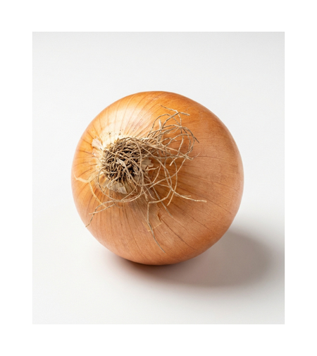 בצל לבן | לפי 1 קילו